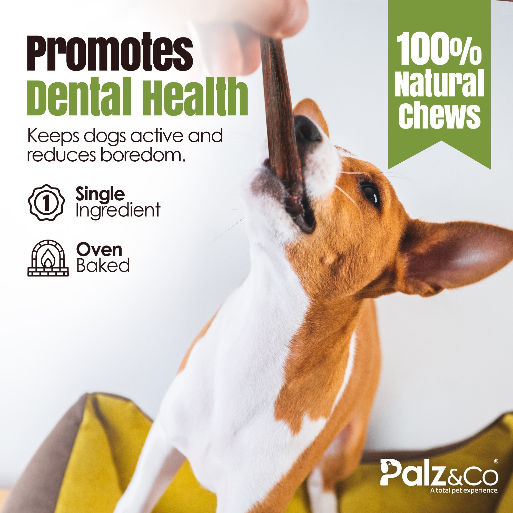 Moodog Beef Gullet Sticks 6-12" - Pack of 25