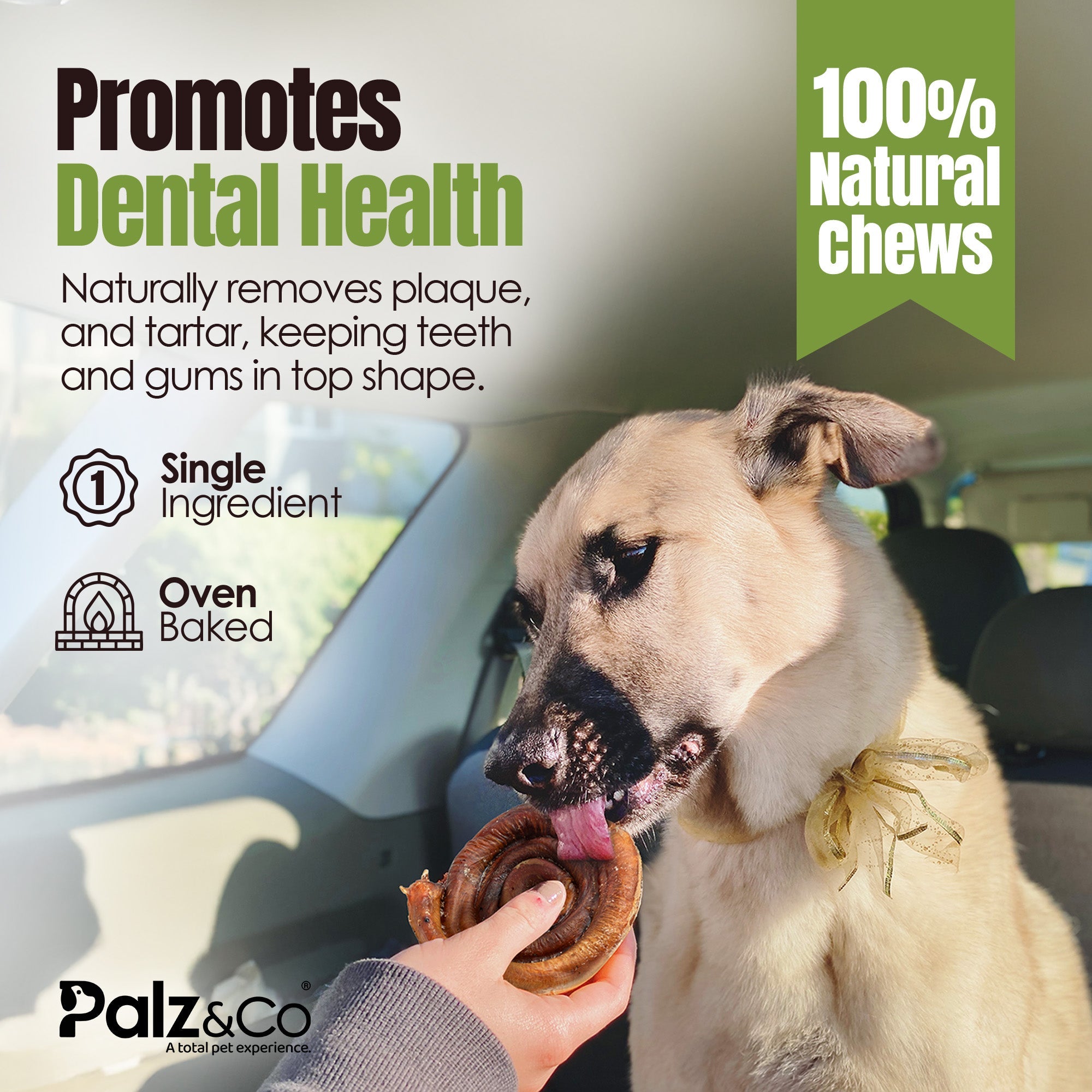 Moodog Beef Bully Bun/Cap 1 pack