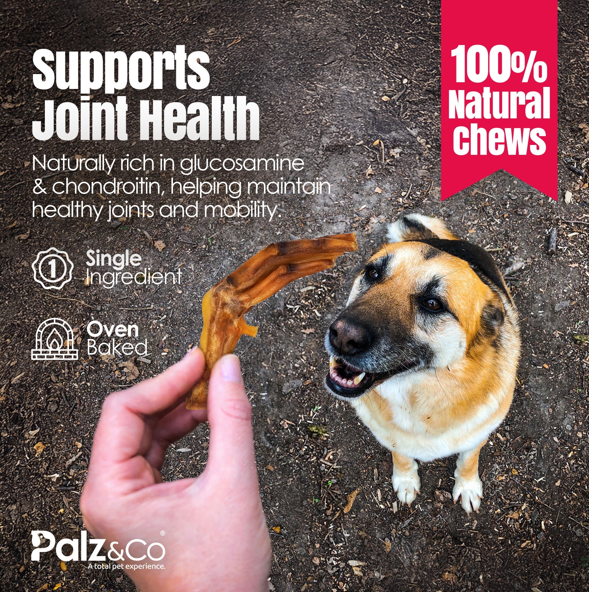 Birddog Duck Feet Chews (no nails) - Pack of 10 & 35