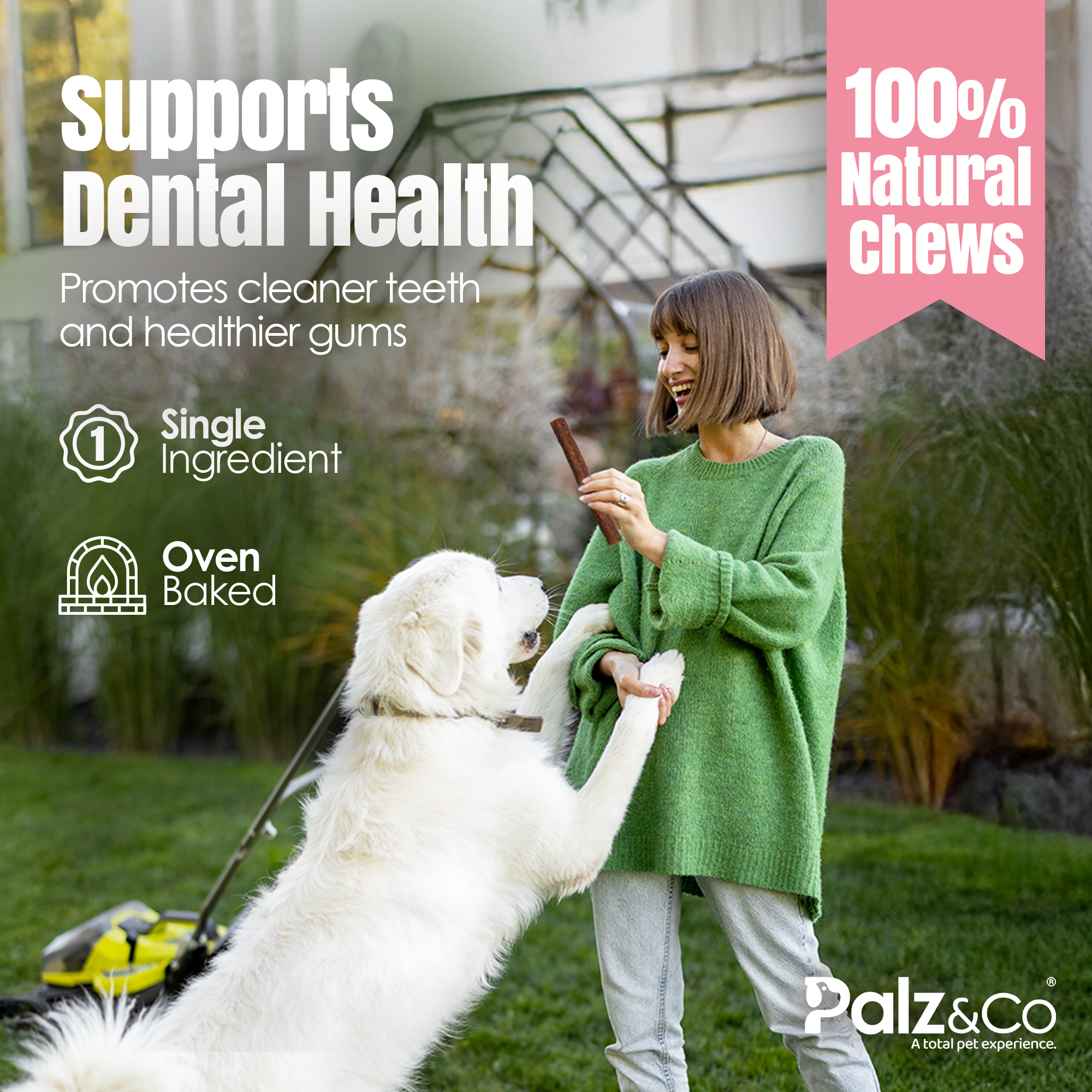 Hogdog Pork Sausage Dog Treats - 8 & 20 Pack