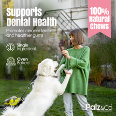 Hogdog Pork Sausage Dog Treats - 8 & 20 Pack