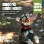 Dog chewing on a treat with text about dental health and natural chews, featuring the brand Palz & Co.