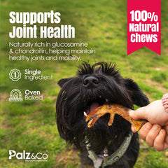 Birddog Chicken Feet Dog Treats - Pack of 10 and 35