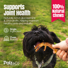 Birddog Chicken Feet Dog Treats - Pack of 10 & 35