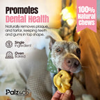 Hogdog Pork Snouts - Pack of 40