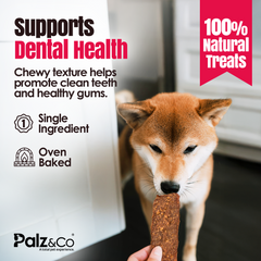 Birddog Chicken Jerky Chews - Pack of 10