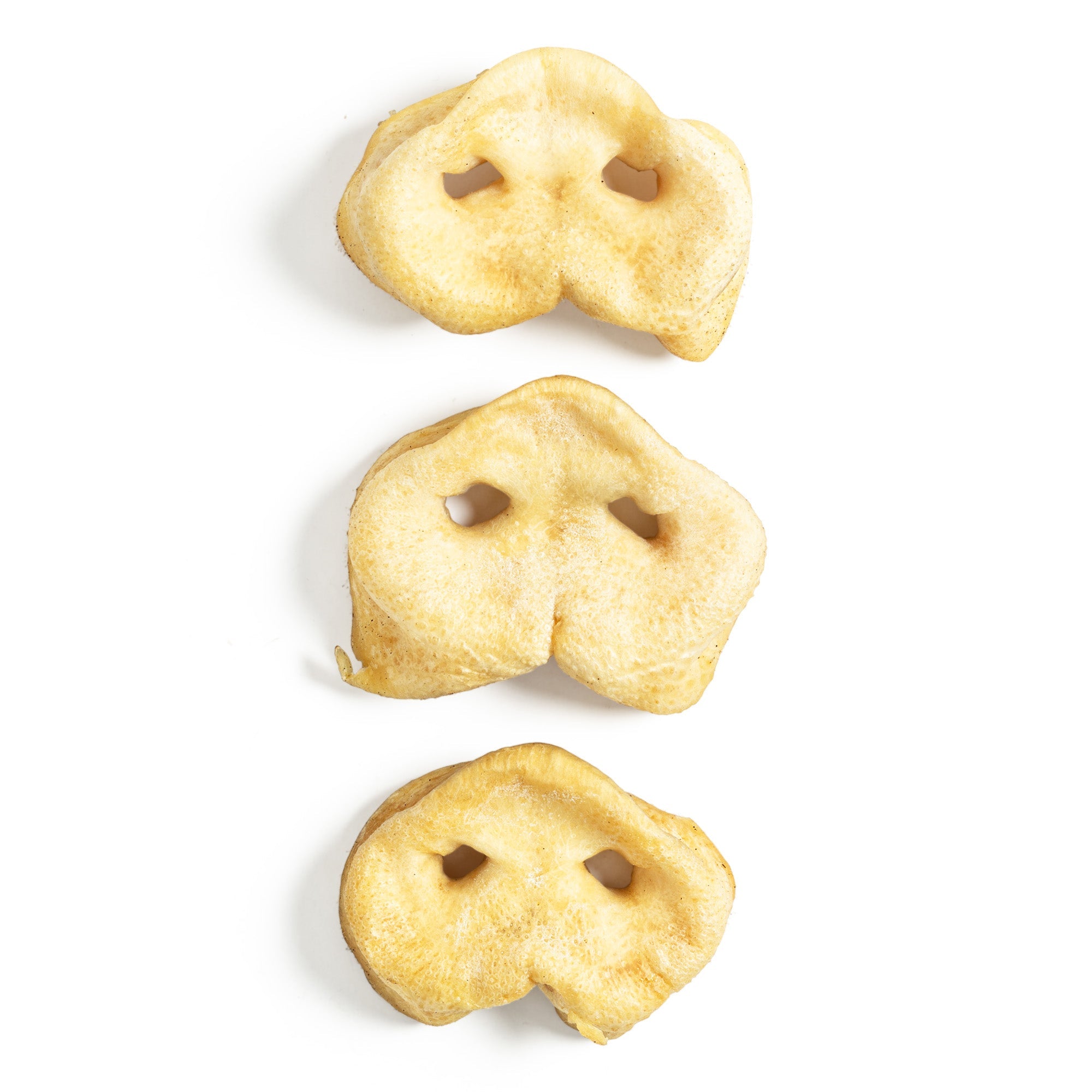 Hogdog Pork Snouts - Pack of 40 Secondary image