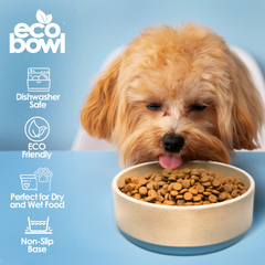 Eco-Bowls with Lid