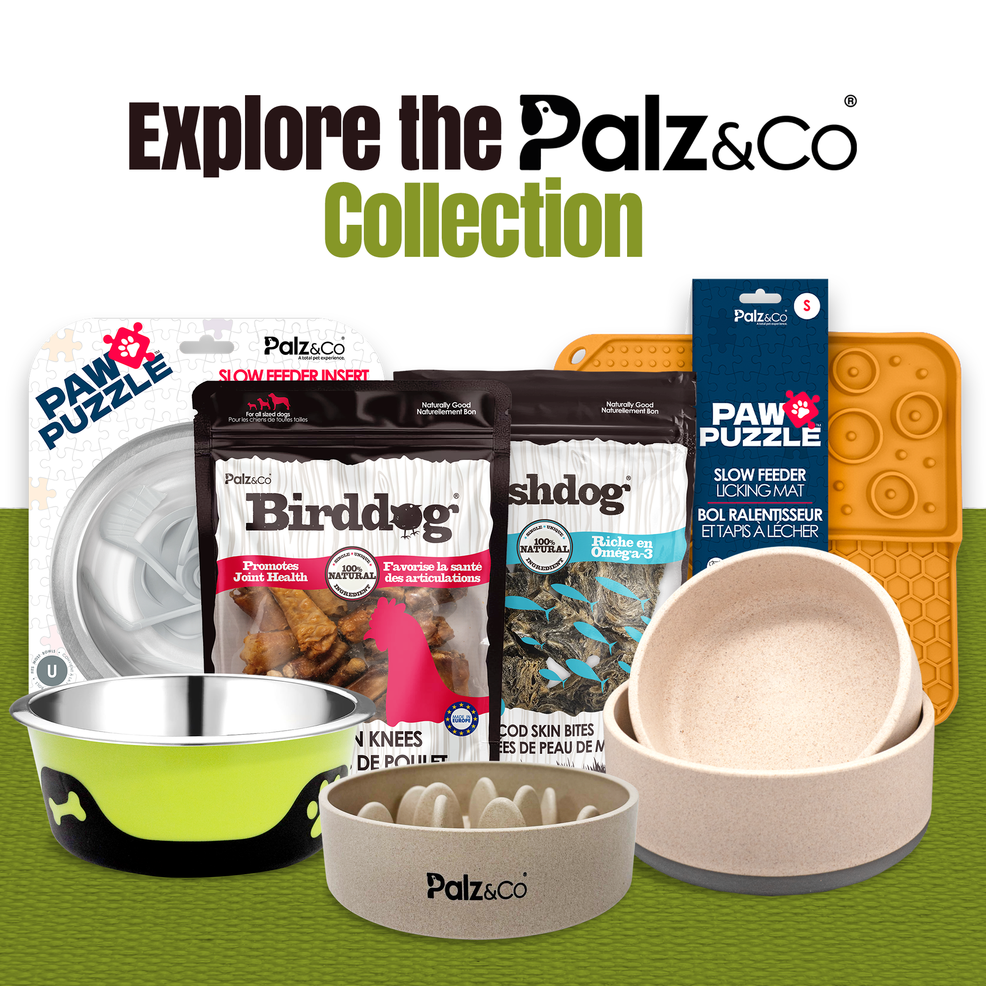 EcoBowl Slow Feeder Dog Bowl