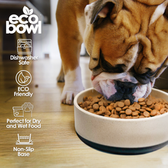 Eco-Bowls with Lid