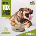 EcoBowl Slow Feeder Dog Bowl
