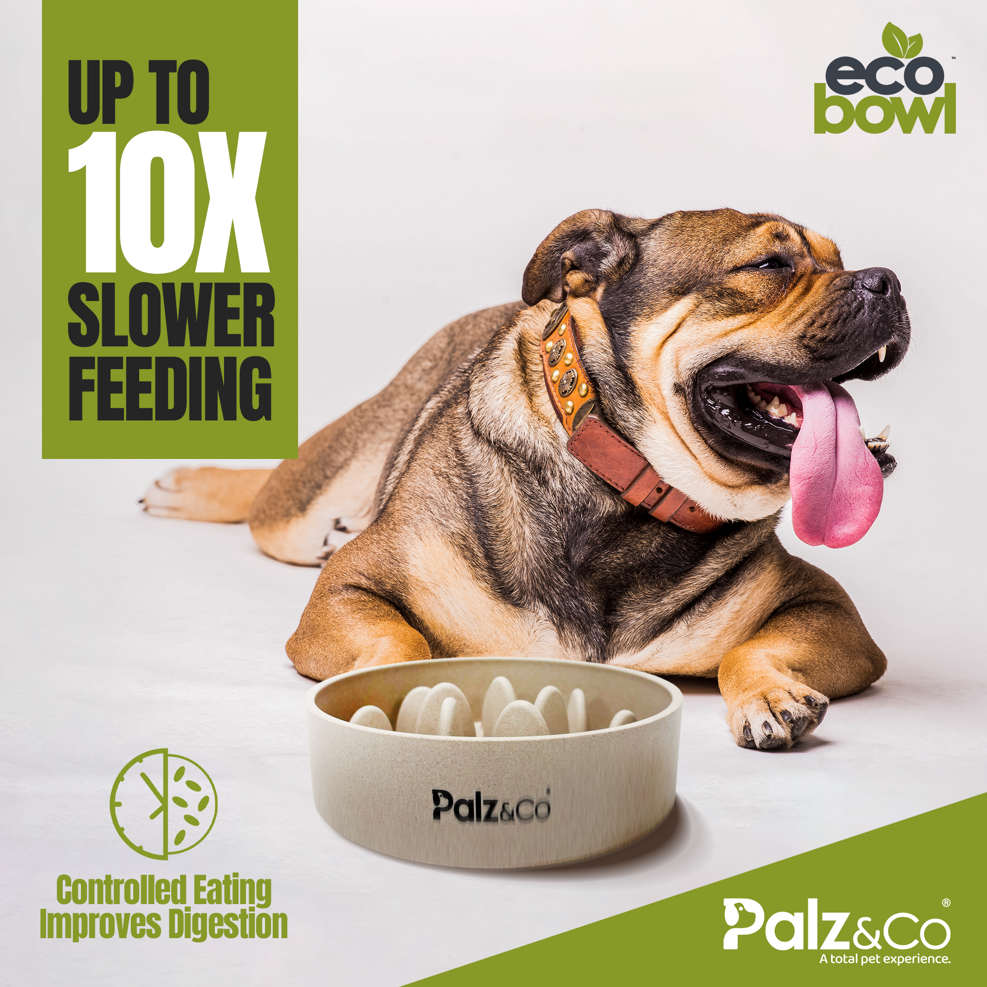 EcoBowl Slow Feeder Dog Bowl