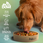 EcoBowl Slow Feeder Dog Bowl