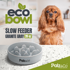 EcoBowl Slow Feeder Dog Bowl