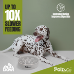 EcoBowl Slow Feeder Dog Bowl