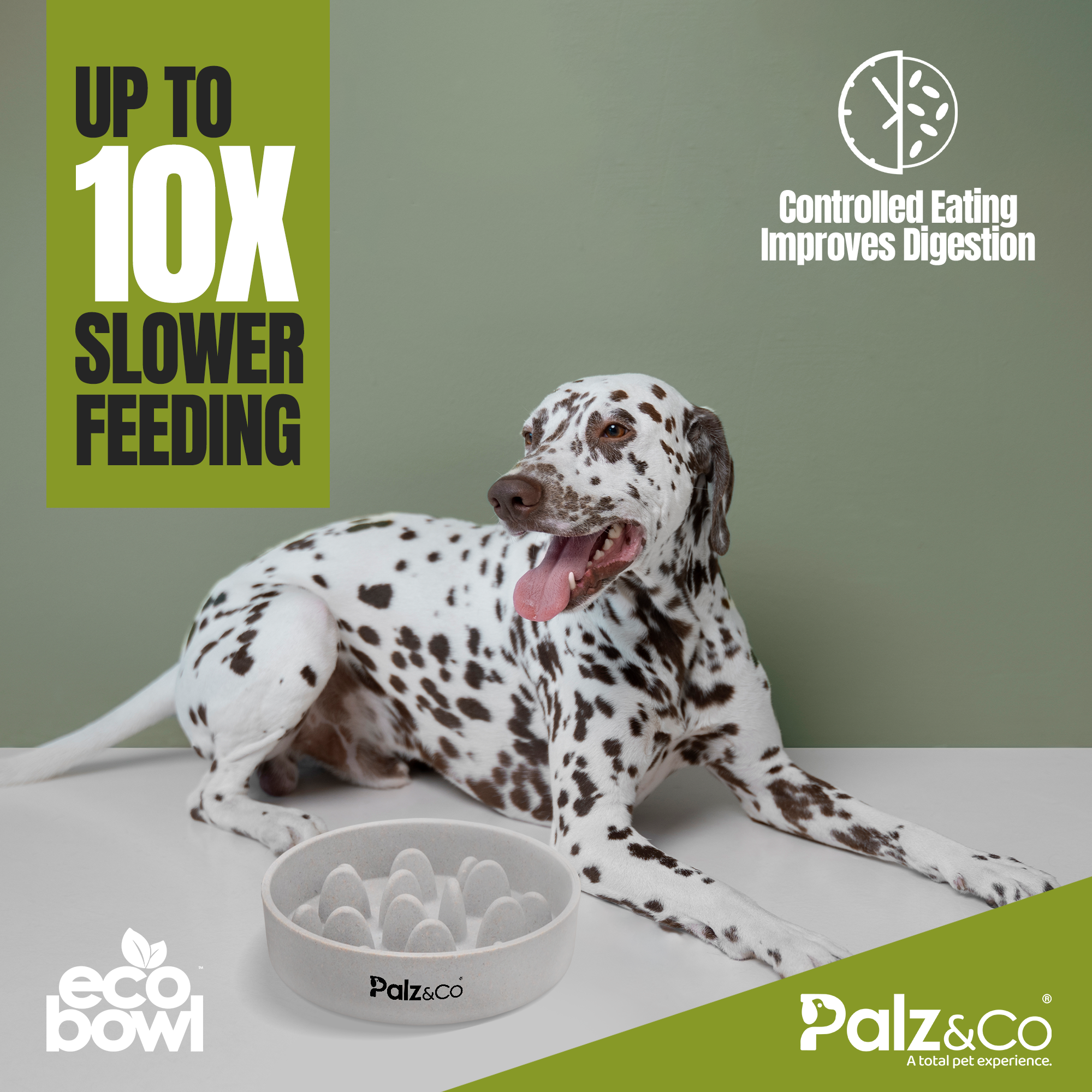 EcoBowl Slow Feeder Dog Bowl